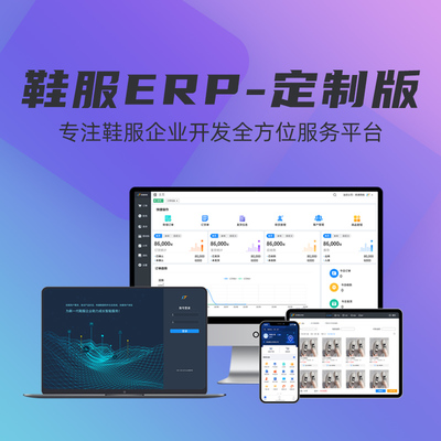 順通鞋服進銷存ERP管理系統軟件 定制開發的優勢與功能解析